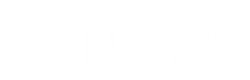 Light Logo